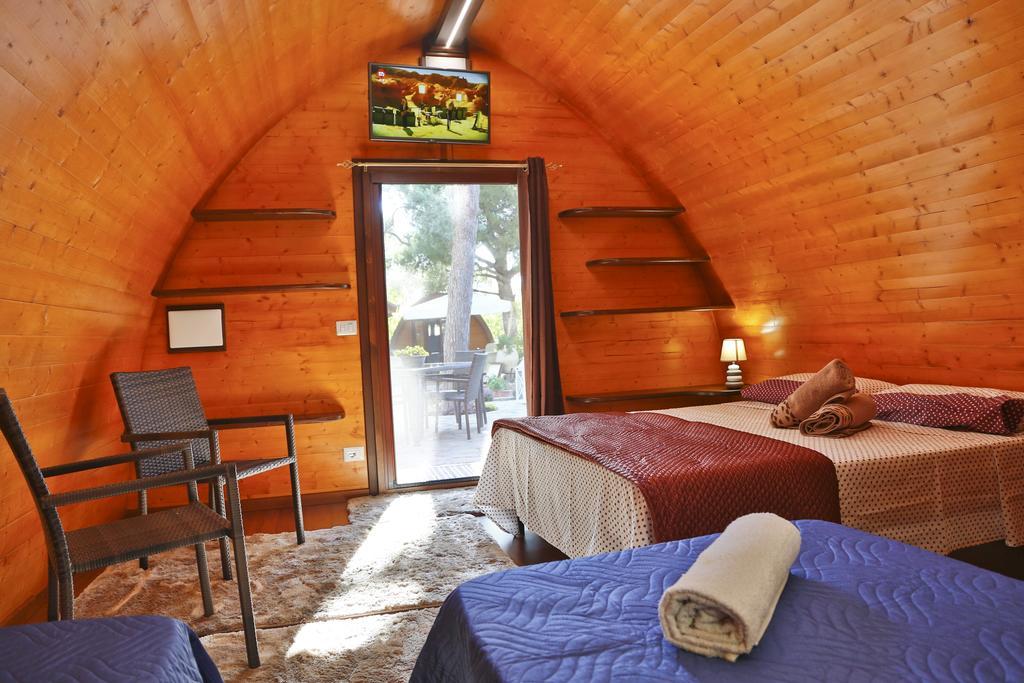 Campsite Sanfilippo *
